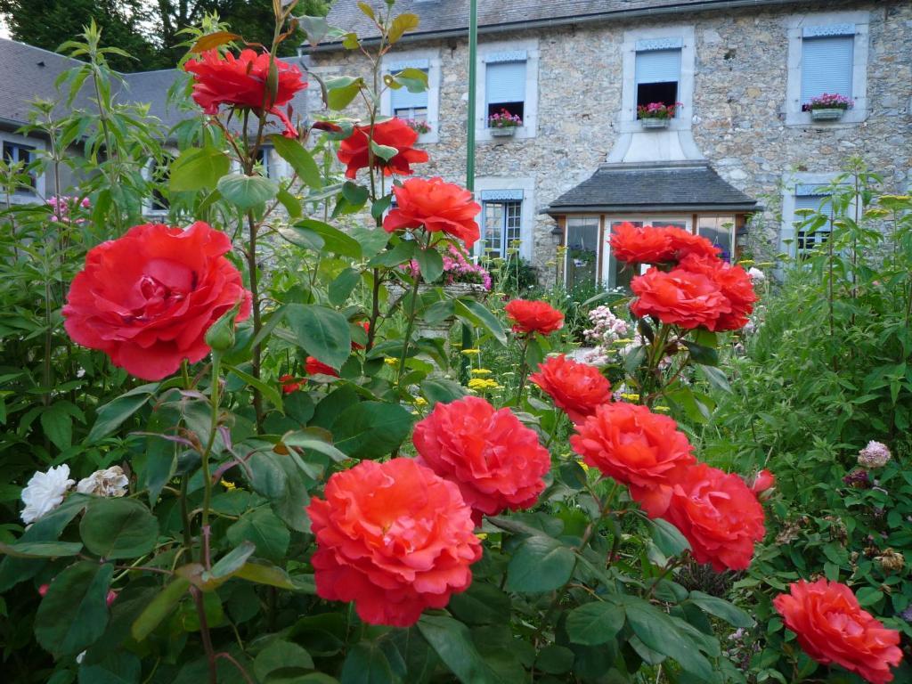 Domaine Vega Bed & Breakfast Saint-Arroman  Exterior photo